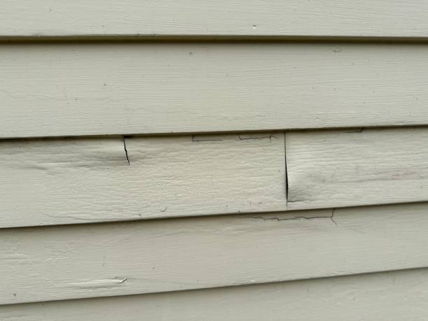 Best Garage Cleanout  in Leominster, MA